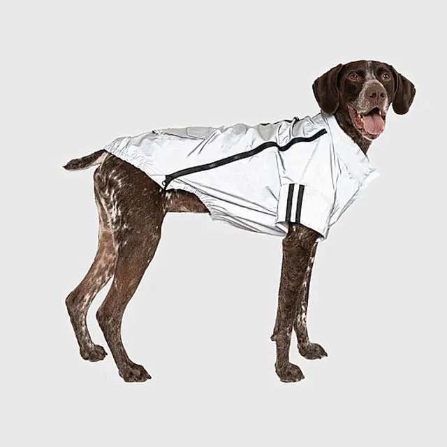 【CANADA POOCH】寵物雨衣/ 夜視反光夾克-20(Night Vision Jacket Grey-20)