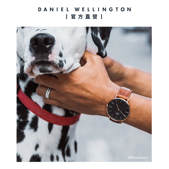 【Daniel Wellington】DW 手錶  Classic St Mawes 40mm棕色真皮皮革錶(DW00100124)