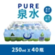 【美式賣場】Nu-Pure 泉水(250ml*40瓶/箱)