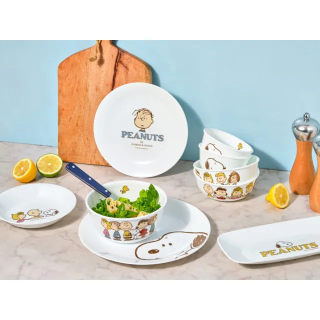 【CorelleBrands 康寧餐具】獨家 SNOOPY 餐盤超值6件組(多款可選/均一價)