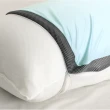 【Dr.Air 透氣專家】涼感紗 3D透氣枕 防蹣抗菌 可水洗(MIT台灣製)