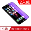 【台灣霓虹】小米紅米Note 9滿版鋼化玻璃保護貼2入組