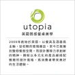 【Utopia】菊花紋玻璃茶壺 1L(泡茶 下午茶 茶具)