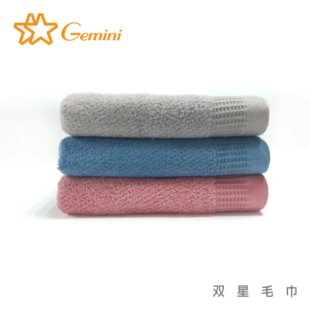 【Gemini 雙星】Gemini抗菌機能毛巾超值二入組(抑菌 防霉 消臭 無毒)