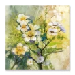 【24mama 掛畫】單聯式 油畫布 柔和 白色 植物花卉 春天 美麗 無框畫-60x60cm(日本櫻花01)