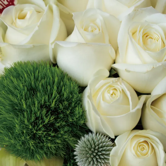 【CNFlower 西恩】CN經典 鮮花圓禮盒(送禮/買花/花禮/鮮花)