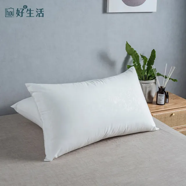 【hoi! 好好生活】台灣製大和抗菌水洗枕-兩入