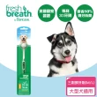 【Fresh breath 鮮呼吸】犬貓專用牙刷 大型(毛體工學寵物牙刷)