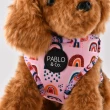 【Pablo & Co】可調整式胸背帶 毛小孩 寵物胸背帶 狗狗胸背帶 透氣快乾 更美麗彩虹 S