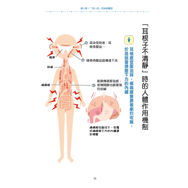 【人類智庫】擺脫肩、頸、腰痠痛這個動作有效–慢性疼痛全消除(活力誌)