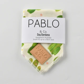 【Pablo & Co】寵物領巾 毛小孩 領巾 方巾 綠洲仙人掌 S