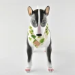 【Pablo & Co】寵物領巾 毛小孩 領巾 方巾 綠洲仙人掌 S