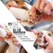 【Jax & Cali傑凱】潔牙指套2入組(專利潔牙配方 通過UL認證 保健口腔牙周)