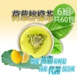 【蔘大王】台灣荷葉檸檬茶包X6組（6gX10入/組）長效期版(解油雙寶 回甘很到位 代謝很輕鬆 無咖啡因無茶鹼)