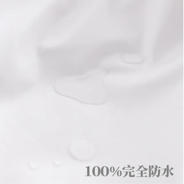 【EverSoft 寶貝墊】Pure奈米抗菌離子枕頭保潔墊-53x78cm/2入(100%防水透氣 抗菌防蹣)