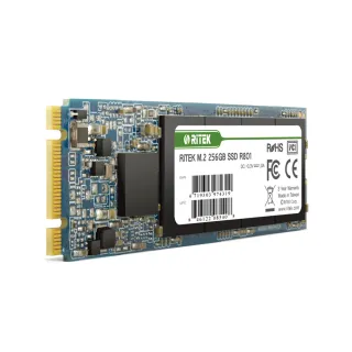【RITEK錸德】R801 256GB M2 2280/SATA-III SSD固態硬碟