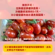 【甜露露】台灣小番茄3台斤x1盒(3台斤±10%)