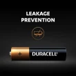 【DURACELL】金頂鹼性電池 2號電池C 2入裝