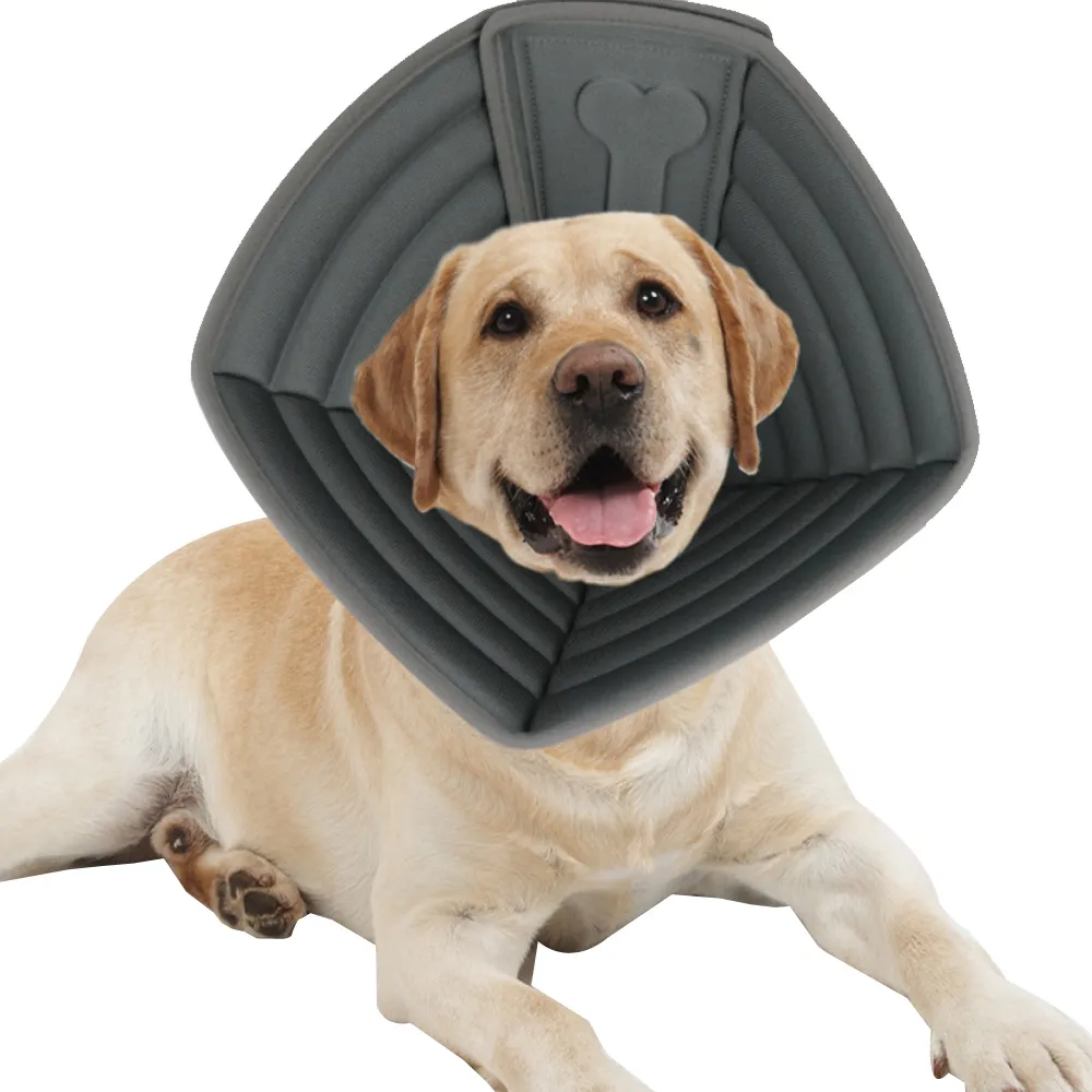 【愛寵達人】外銷歐美柔軟舒適防舔 防咬貓狗伊莉莎白寵物頭套 貓狗圍脖頸圈(M號 毛小孩必備)