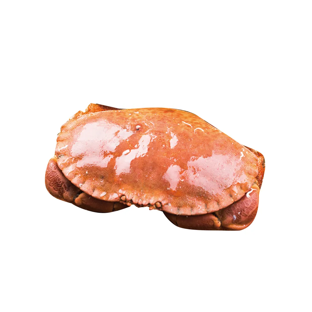 蟹膏之王 英國頂級野生爆卵麵包蟹