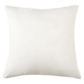 【NITORI 宜得利家居】45x45用抱枕心 羽毛3