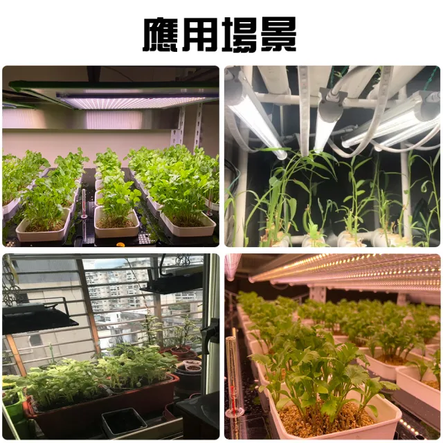 【JIUNPEY 君沛】100W 雙色光譜吊掛式植物燈版(植物生長燈)