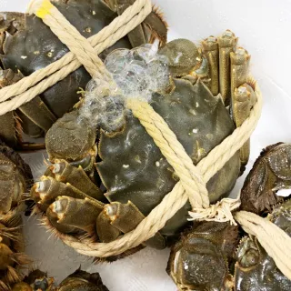 【RealShop】正宗活體江蘇公蟹紅膏大閘蟹A級 3入組(每隻約5-5.6兩 不含繩重 死蟹包換 真食材本舖)