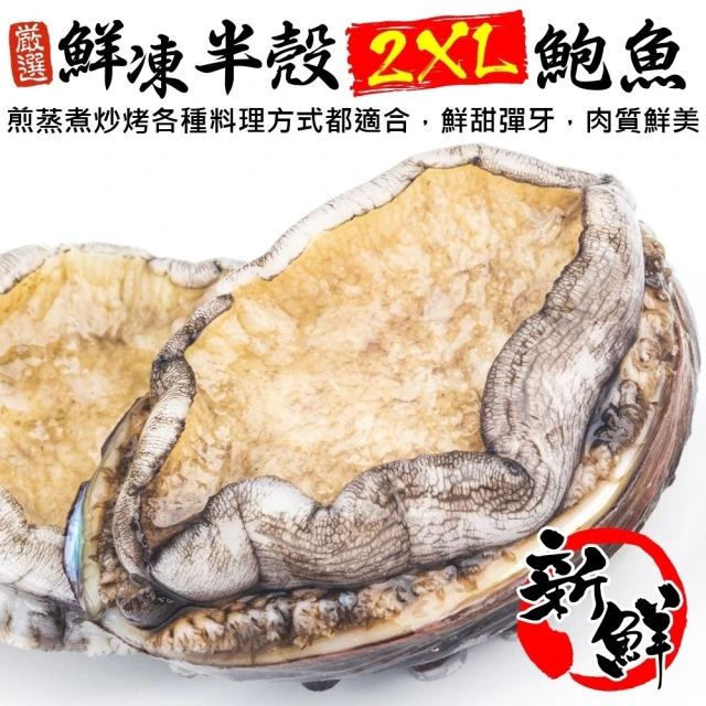 三頓飯 鮮凍2XL半殼九孔鮑魚(2包_10-12顆/1kg/包)