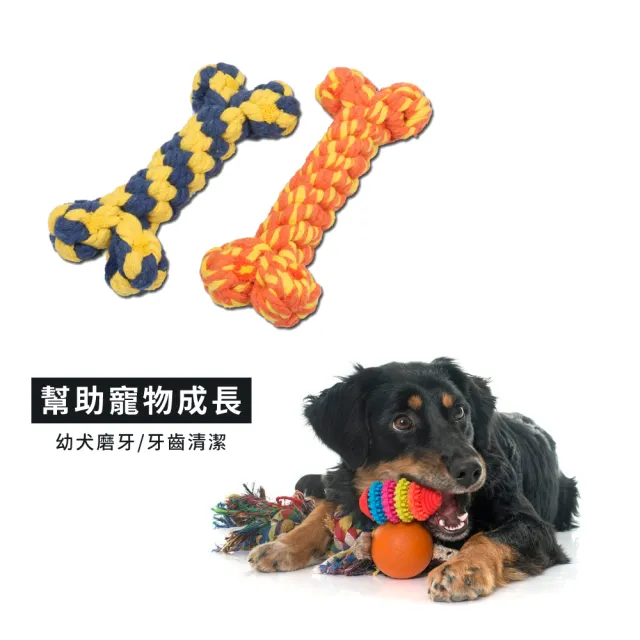骨頭造型寵物編織磨牙棒-2件組(耐啃咬 磨牙 牙齒清潔 潔牙骨 寵物球 狗玩具 寵物用品)