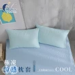 【ISHUR 伊舒爾】極凍涼感枕套1入 台灣製造(兩色任選/枕頭套)
