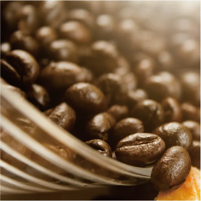 【Krone 皇雀咖啡】摩格咖啡豆半磅 / 227g x 2包(嚴選綜合咖啡豆)