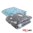【SDL 山多力】韓國原裝雙人電熱毯(KR3600J)