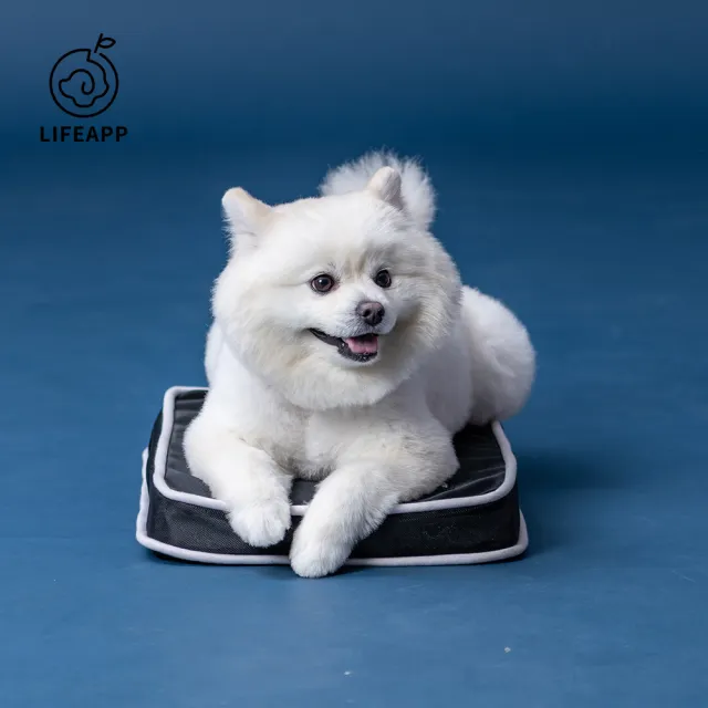 【LIFEAPP 徠芙寶】經典透芯涼睡墊/XS(小型犬適用)