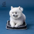 【LIFEAPP 徠芙寶】經典透芯涼睡墊/XS(小型犬適用)
