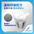 【SENSODYNE 舒酸定】日常防護 長效抗敏牙膏120gX3入(溫和高效淨白)