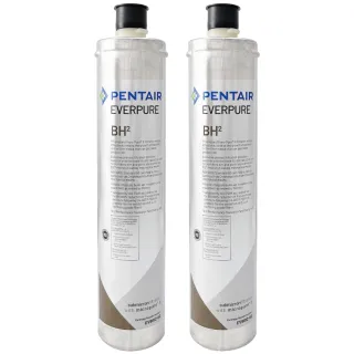 【Pentair】EVERPURE 美國原裝進口濾心 BH2(2入裝 平輸品)