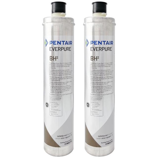 【Pentair】EVERPURE 美國原裝進口濾心 BH2(2入裝 平輸品)