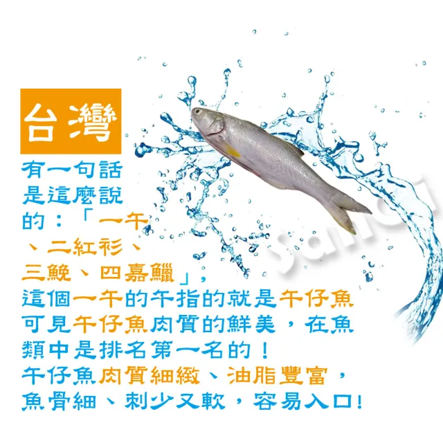 【賣魚的家】新鮮午仔魚6尾組(250g-300g/尾)