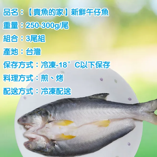 【賣魚的家】新鮮午仔魚3尾組(250g-300g/尾)