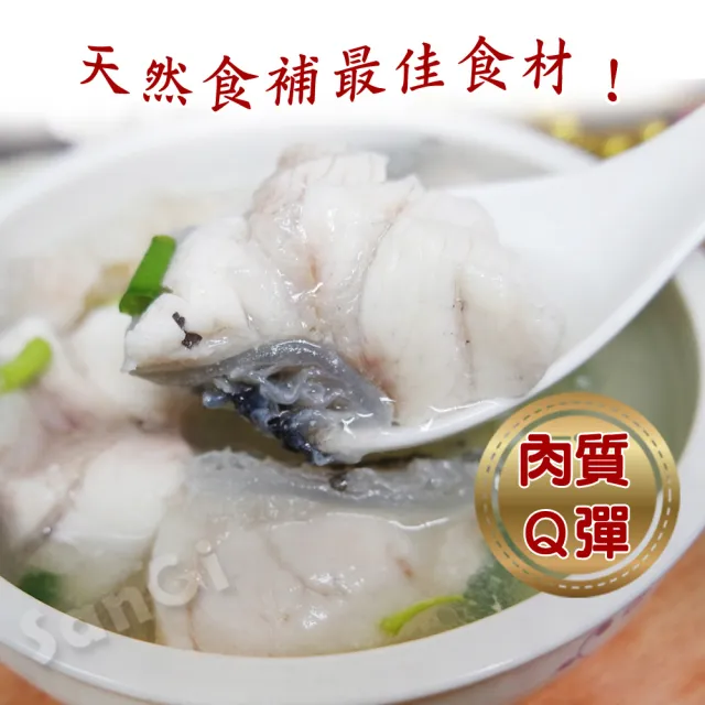 【賣魚的家】產地直送台灣新鮮龍膽石斑魚塊 2包組(300g±3%/包)