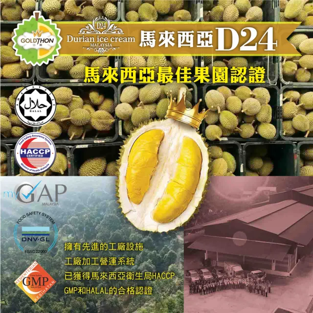 【Gold Thon】D24蘇丹王榴槤冰淇淋24杯/4盒禮盒裝(85公克/杯*24杯)