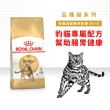 【ROYAL 法國皇家】豹貓成貓專用飼料BG40 2KG(貓乾糧)