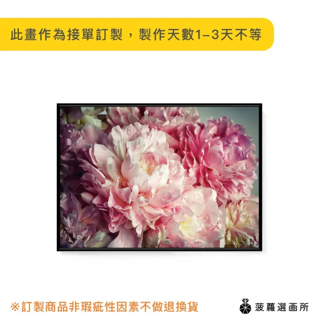 【菠蘿選畫所】柔雅牡丹 - 30x40cm(牡丹/玄關裝飾/過年裝飾/花卉掛畫)
