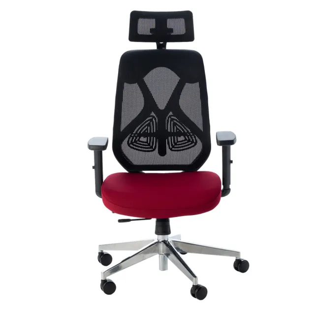 【Hyman PluS+】入倉速達】工學智慧雙腰托雙曲線設計人體工學電腦椅/辦公椅(耐重150KG鋁合金椅腳)