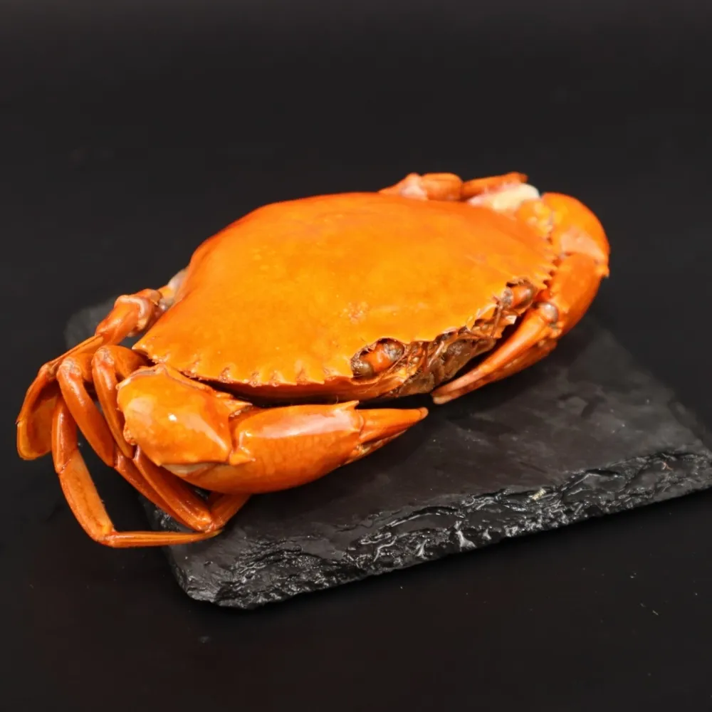 【三頓飯】日本熟凍栗子蟹(2隻_100-130g/隻)
