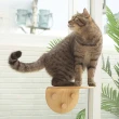 【mysig喵空漫步】貓跳板(窗型懸掛式貓跳台 免釘牆高承重)
