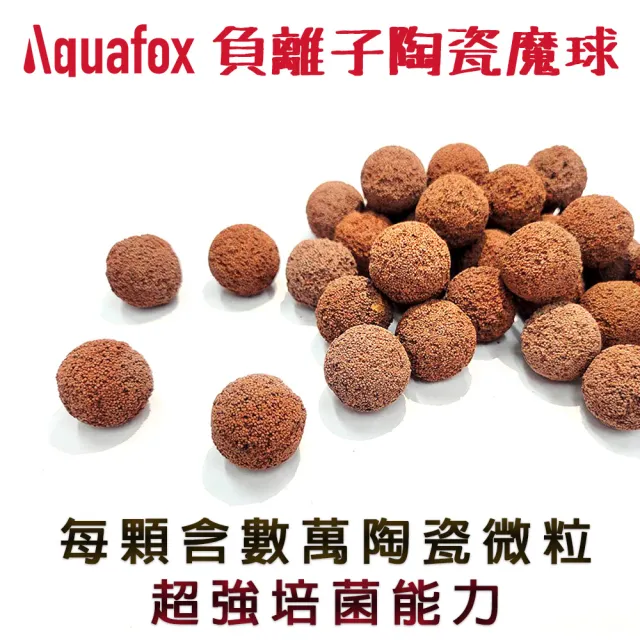 【Aquafox】Powerball陶瓷魔球  負離子1L-22mm-L(超越石英球、生化型)
