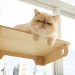 【mysig喵空漫步】貓憩台(窗型懸掛式貓跳台 免釘牆高承重)