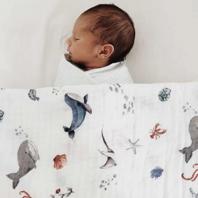 【美國 Malabar baby】新生兒 有機棉被毯(彌月禮 四季毯)