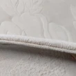 【山德力】羊毛手工片剪地毯-知足200x300cm(素色簡約 輕古典 時尚)